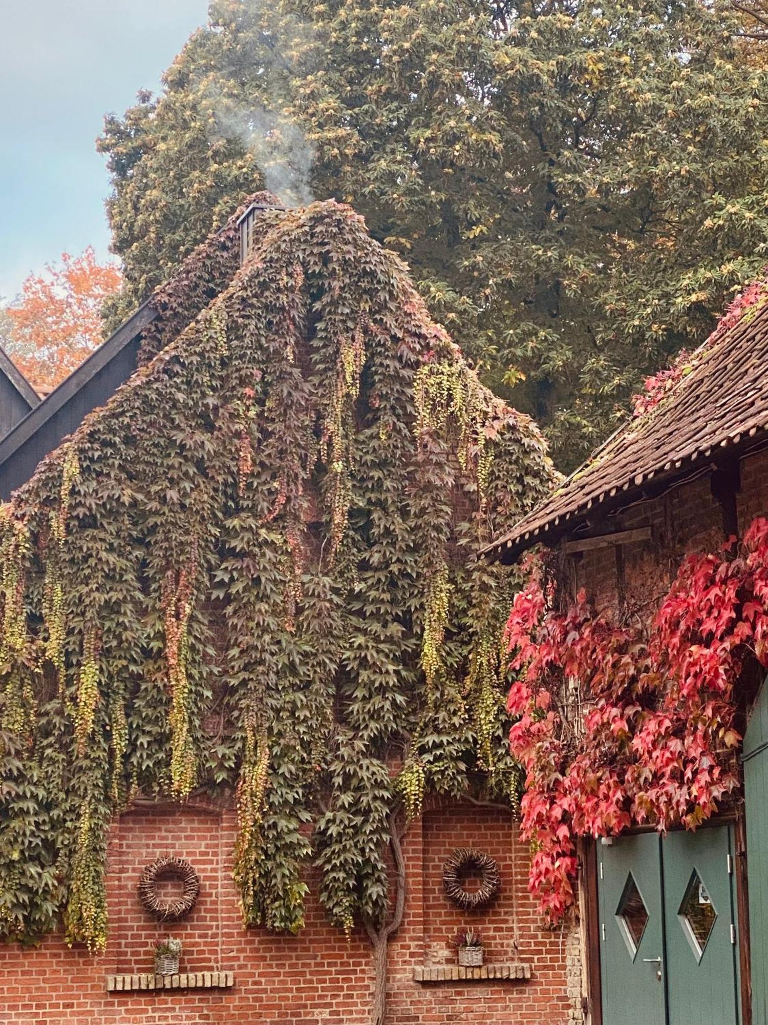 Landhaus Eggert Μούνστερ Εξωτερικό φωτογραφία